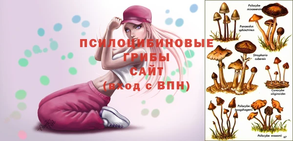 гидропоника Волоколамск